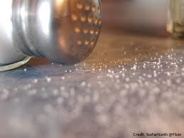 saltshaker