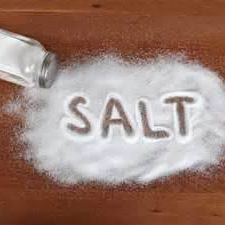 SALT logo